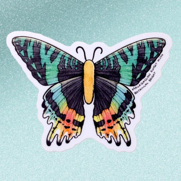 3 for $15 - Madagascan Sunset Moth‎ Sticker - Waterproof Vinyl Nature Decal - Picture 5 of 5